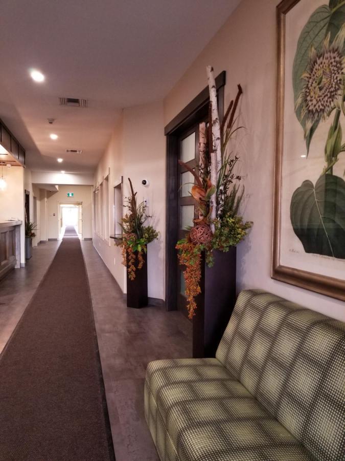Western Budget Motel Leduc #3 المظهر الخارجي الصورة